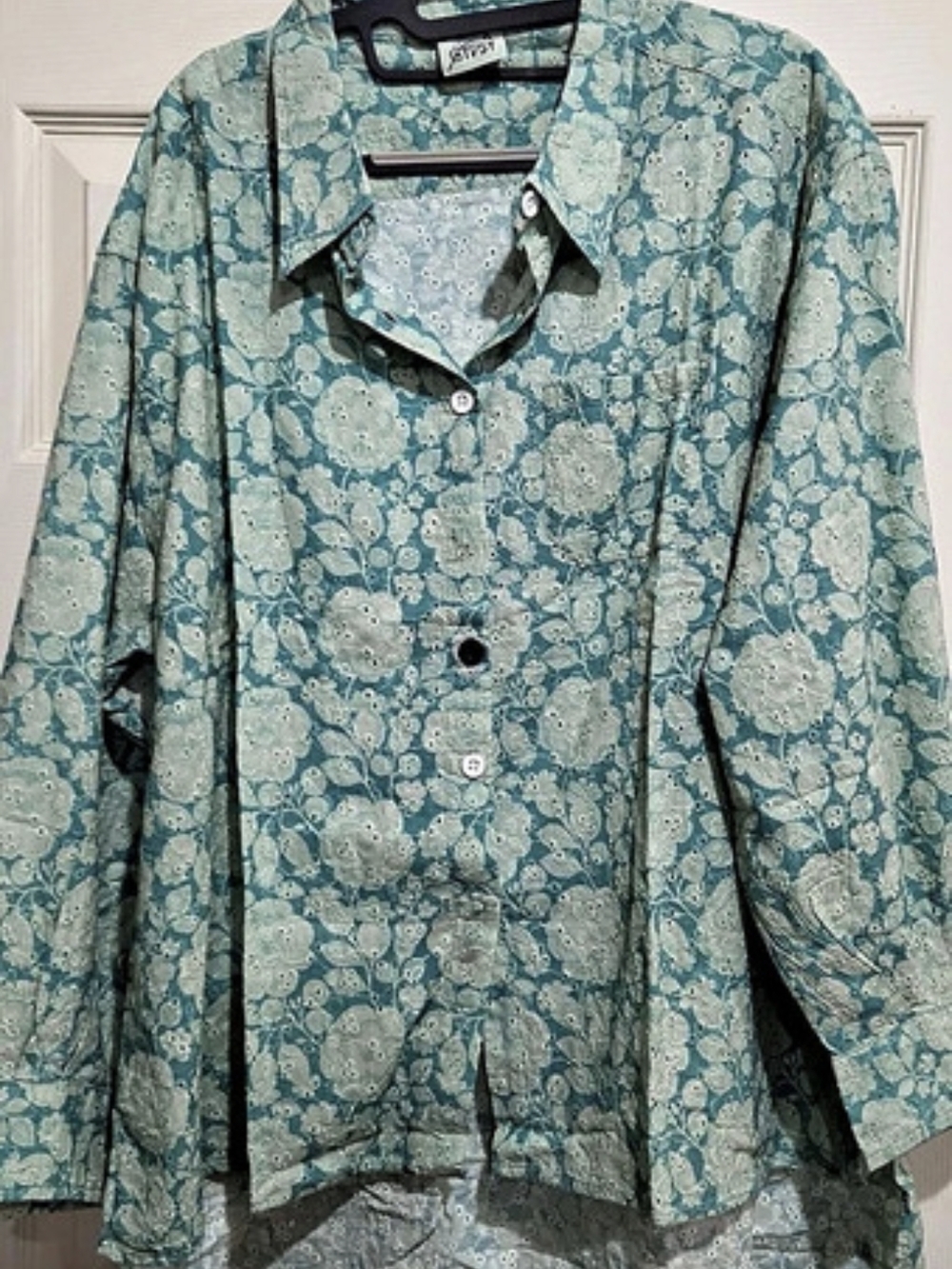 Jaded Gypsy Floral Button Down in Blue & White Nwt Eyelet